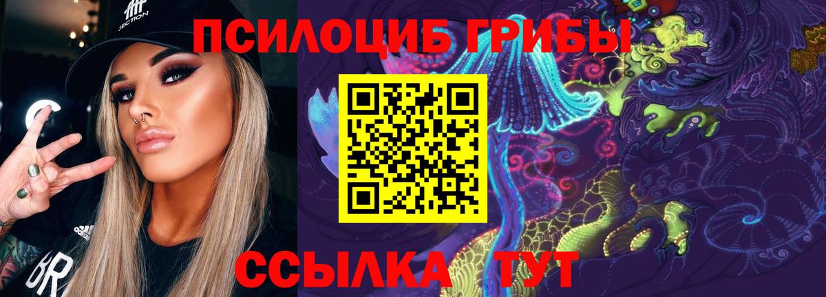 где найти наркотики  Галлюциногенные грибы мицелий  Вход с VPN  Псилоцибиновые грибы GOLDEN TEACHER  Елизово 