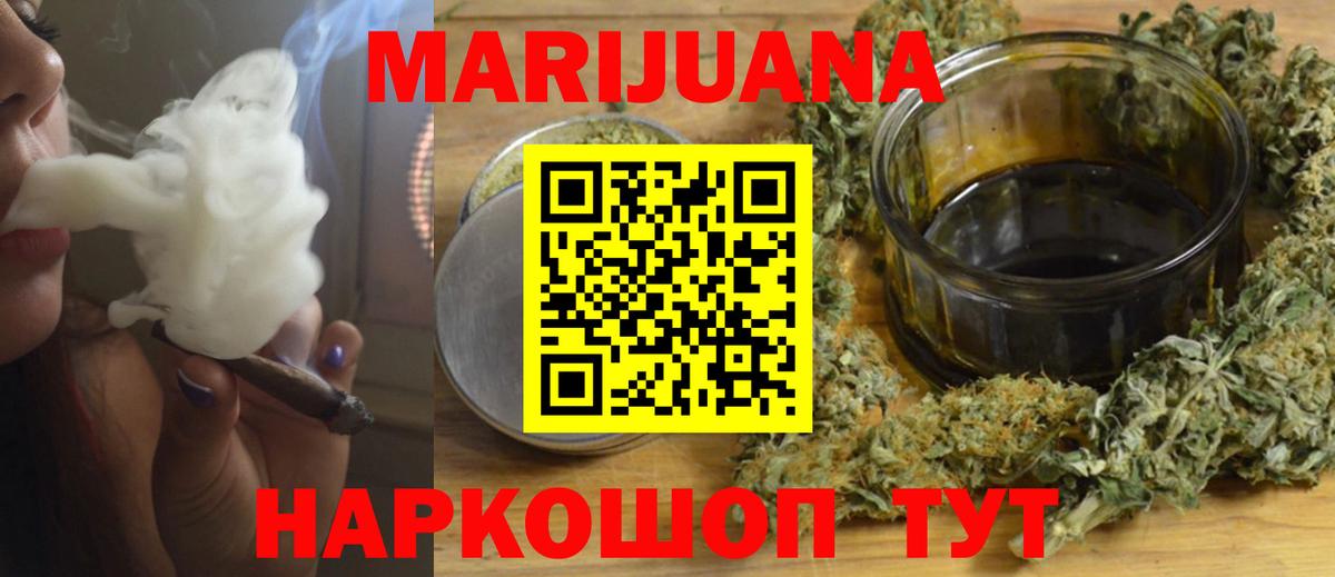 Каннабис сатива Елизово